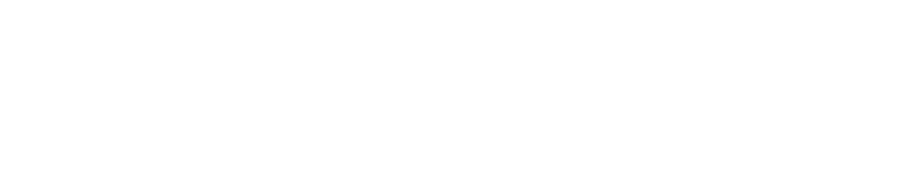 logopenet